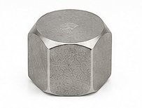 Pipe Cap